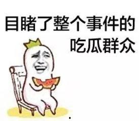 吃瓜群众网,网络舆论场中的“瓜田”风云