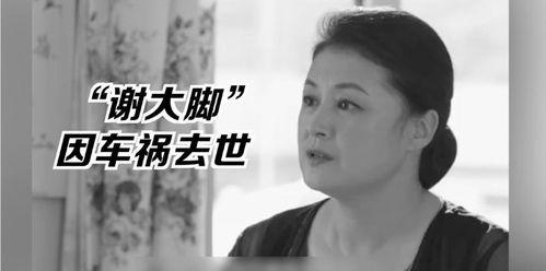 为了吃瓜踏进娱乐圈