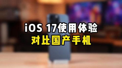 国产私密